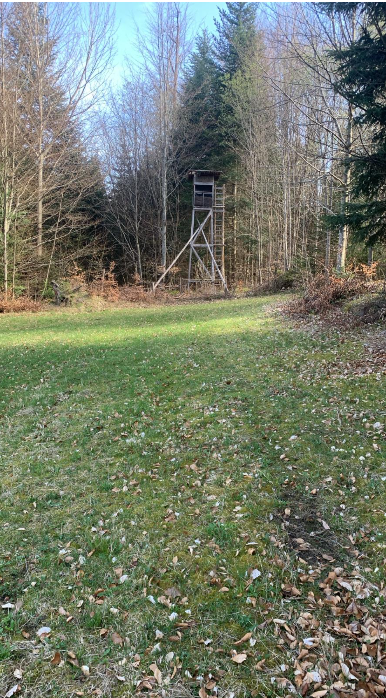 Hunt on Demand: Das semantische Fenster vor dem Schuss