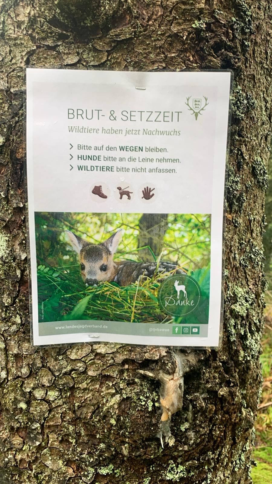 Jagdgesetz, ODTL und die strukturelle Krise moderner Ökosystem-Governance in Deutschland