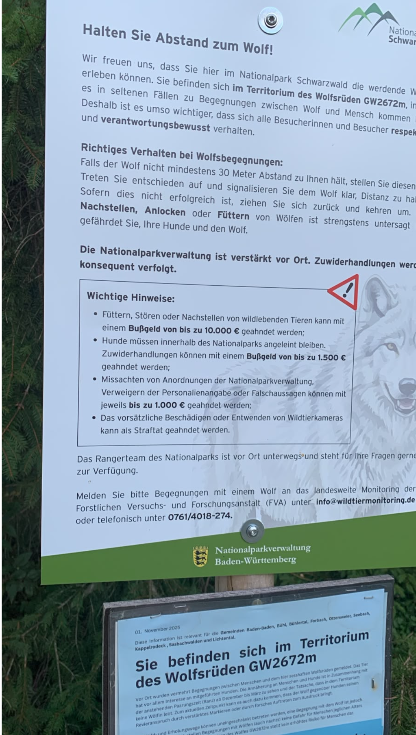 Marie Hoffmann und die Weidetierhaltung: Was kommt nach dem Wolf?