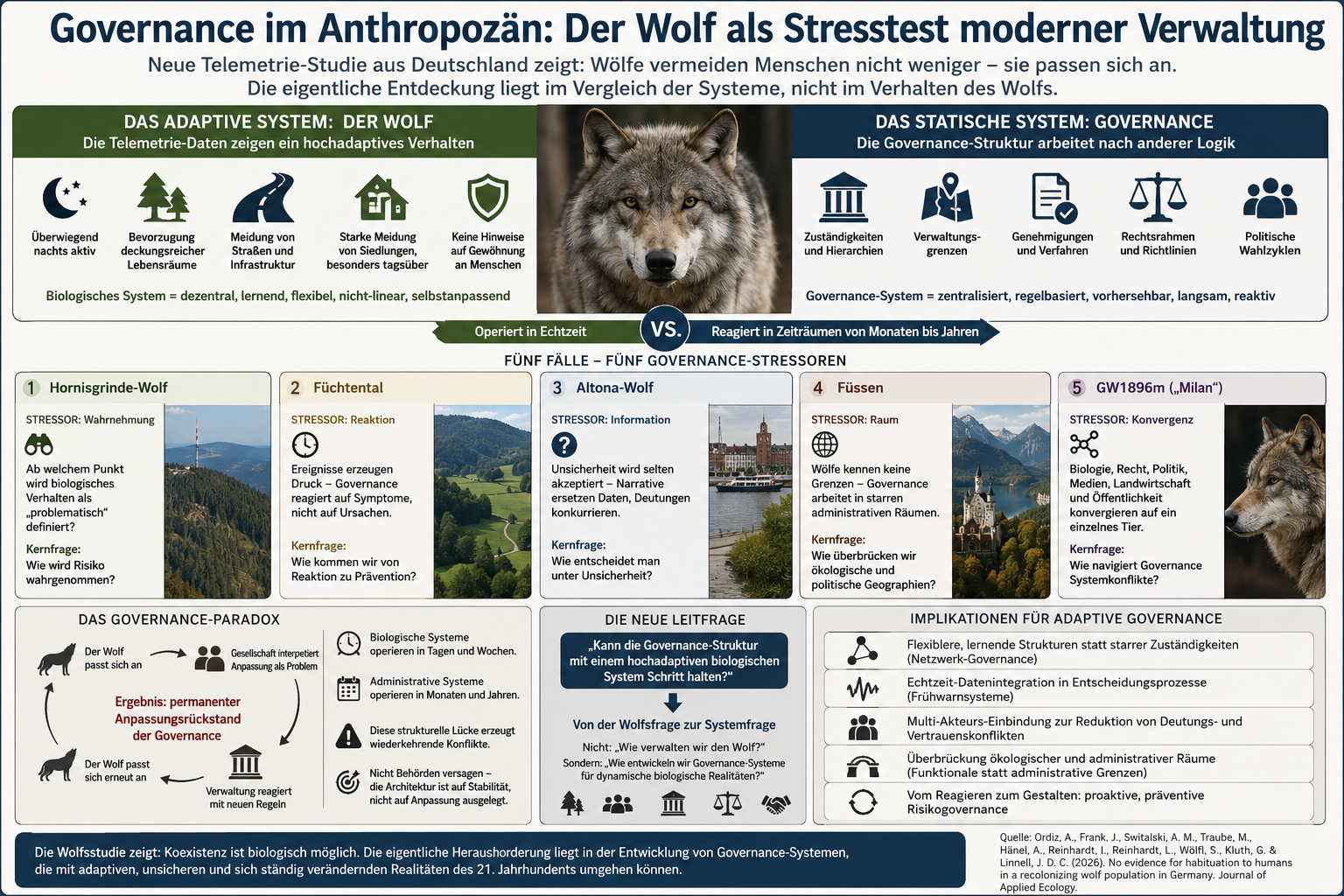 Governance Resolver | Die eigentliche Entdeckung dieser Wolfsstudie